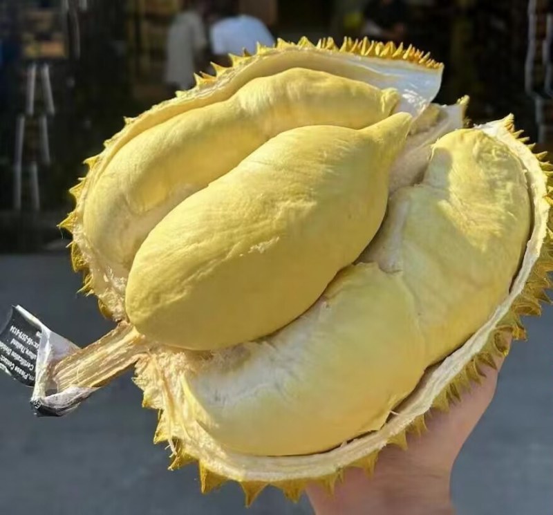 阳泉城区批发货源